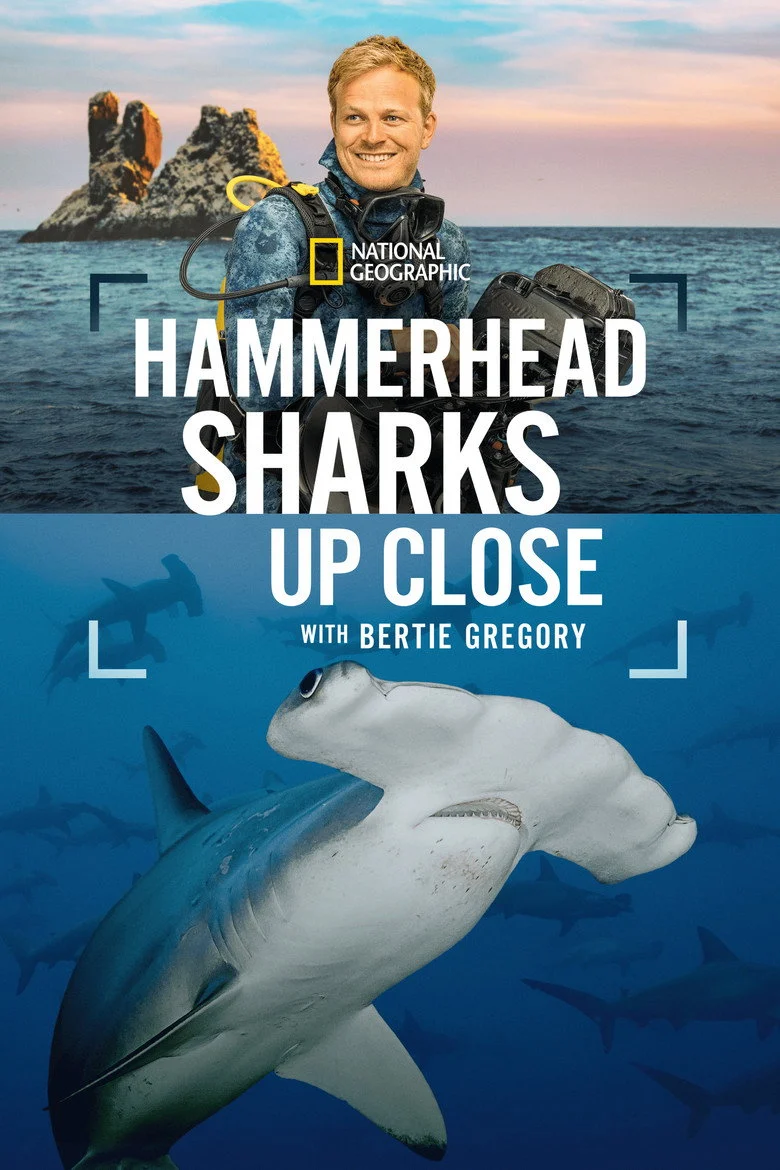 فيلم Hammerhead Sharks Up Close With Bertie Gregory 2026 مترجم اون لاين